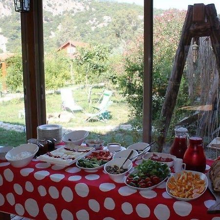 Villa Iz Çıralı Luaran gambar